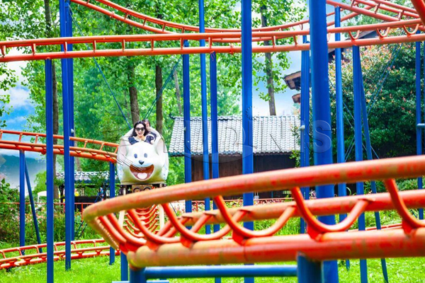 roller-coaster-for-sale-in-backyard